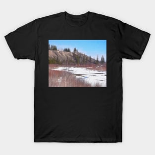 Illustration at Weaselhead T-Shirt